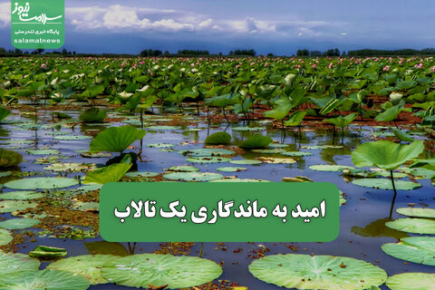 امید به ماندگاری یک تالاب