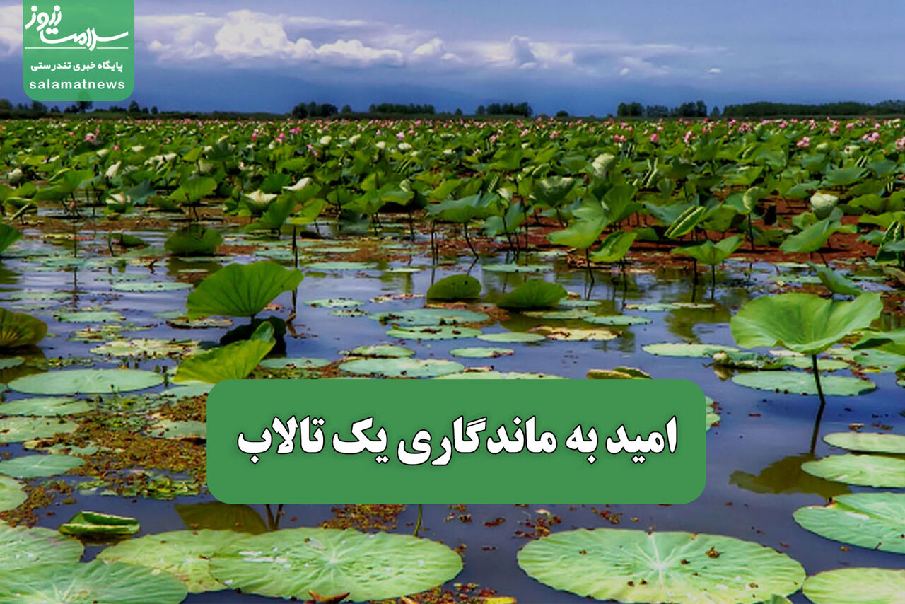 امید به ماندگاری یک تالاب امید به ماندگاری یک تالاب