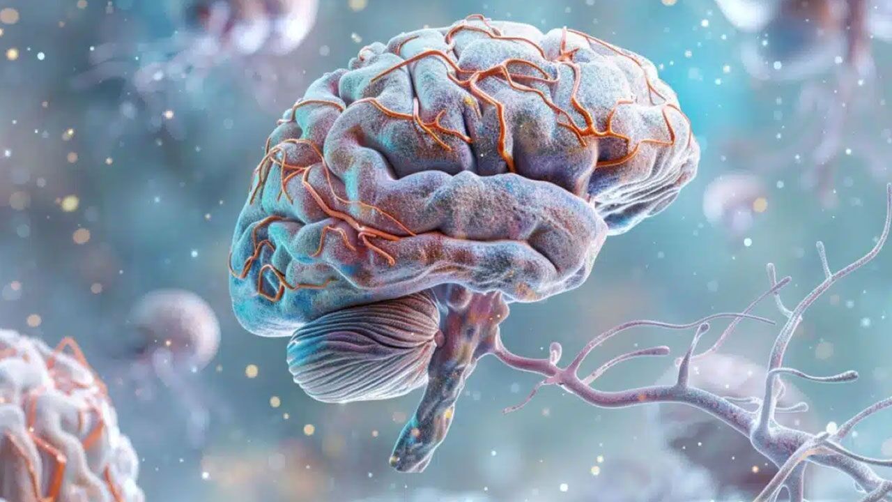 درمان هوشمند التهاب مغز با نانوذرات هدفمند درمان هوشمند التهاب مغز با نانوذرات هدفمند