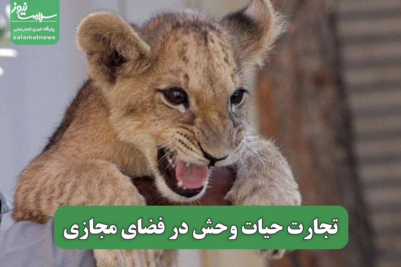 تجارت حیات وحش در فضای مجازی تجارت حیات وحش در فضای مجازی