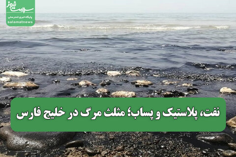 نفت، پلاستیک و پساب؛ مثلث مرگ در خلیج فارس