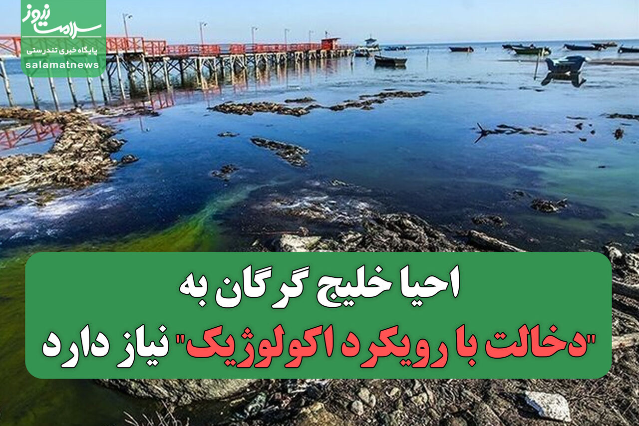  احیا خلیج گرگان به "دخالت با رویکرد اکولوژیک" نیاز دارد