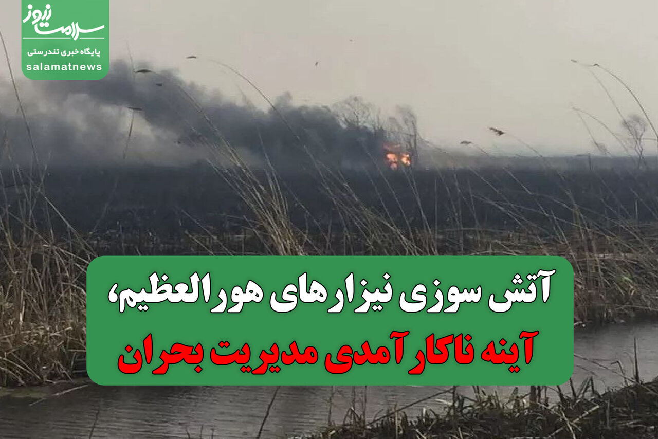 آتش سوزی نیزارهای هورالعظیم، آینه ناکارآمدی مدیریت بحران