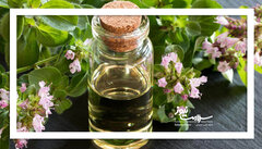 روغن پونه کوهی برای این افراد مضر است