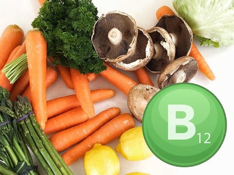 منابع گیاهی ویتامین B12 برای گیاه‌خواران