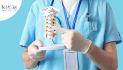 روش های سریع و موثر برای اصلاح بیرون زدگی دیسک ستون فقرات