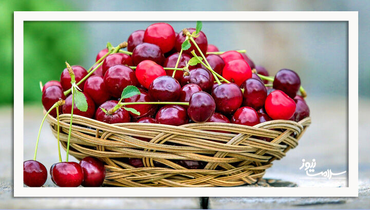 گیلاس بخورید، از نقرس دور بمانید! گیلاس بخورید، از نقرس دور بمانید!