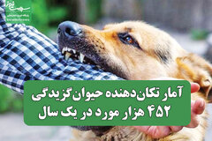 آمار تکان‌دهنده حیوان‌گزیدگی / ۴۵۲ هزار مورد در یک سال