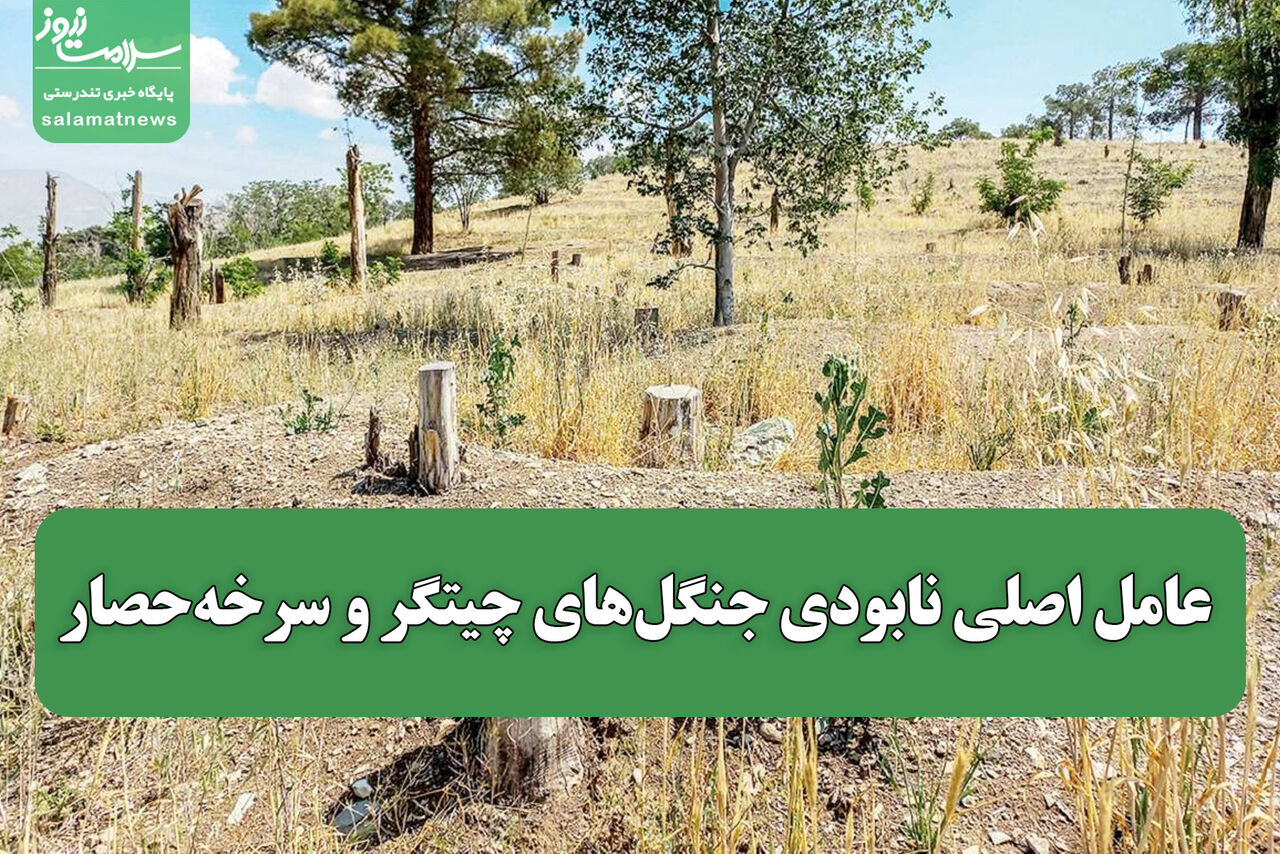 عامل اصلی نابودی جنگل‌های چیتگر و سرخه‌حصار