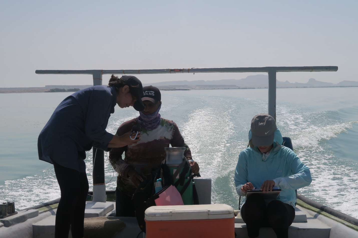 ۳ طرح برگزیده حمایت مالی "هما" مشخص شدند