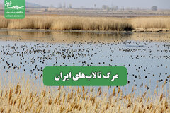 مرگ تالاب‌های ایران