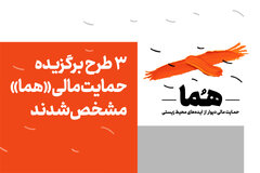 ۳ طرح برگزیده حمایت مالی "هما" مشخص شدند