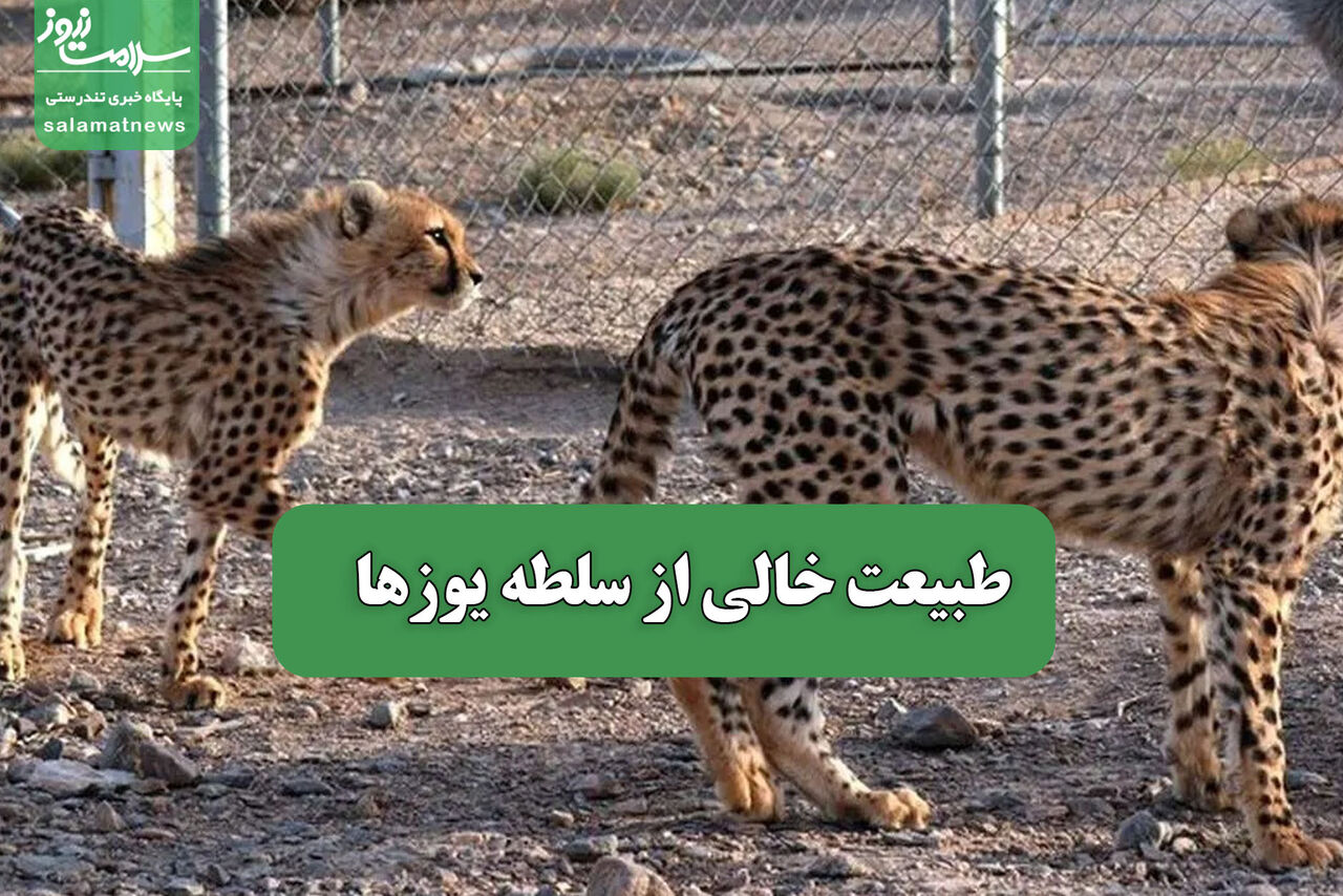 طبیعت خالی از سلطه یوزها