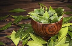 برگ بو؛ گیاهی خوش‌عطر با خواص شگفت‌انگیز درمانی
