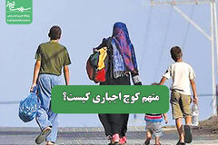 متهم کوچ اجباری کیست؟