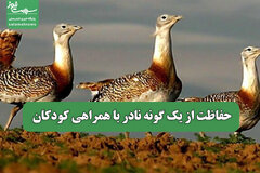 حفاظت از یک گونه نادر با همراهی کودکان