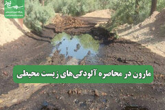 مارون در محاصره آلودگی‌های زیست محیطی