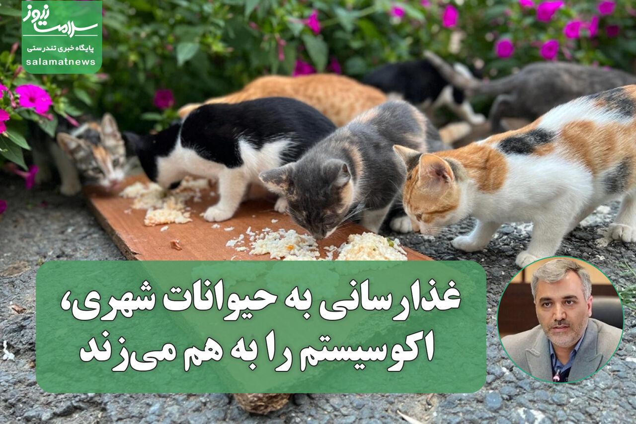 غذارسانی به حیوانات شهری، اکوسیستم را به هم می‌زند