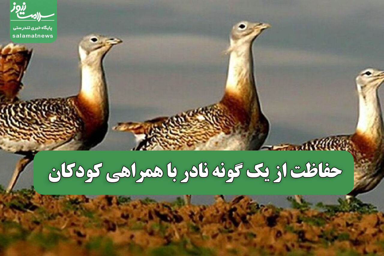 حفاظت از یک گونه نادر با همراهی کودکان