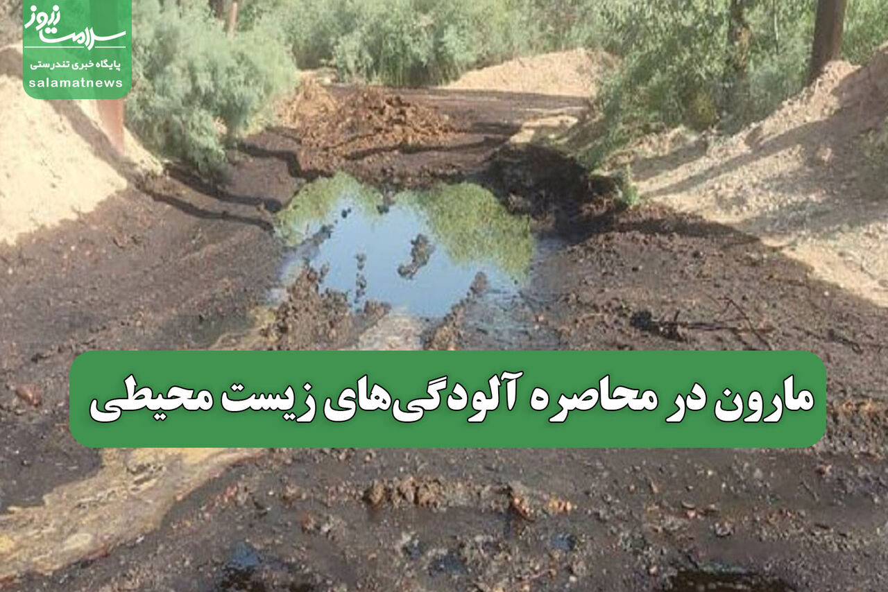 مارون در محاصره آلودگی‌های زیست محیطی