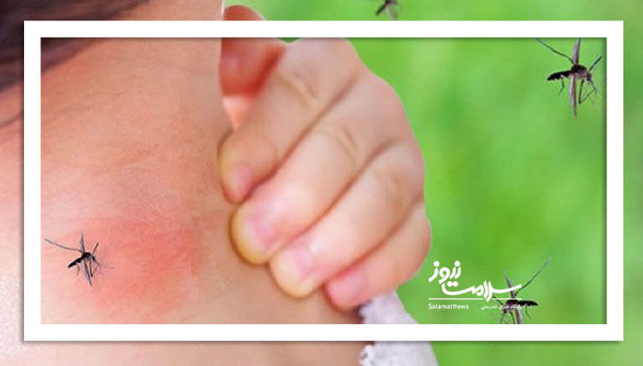 راهکاری برای جلوگیری از نیش پشه راهکاری برای جلوگیری از نیش پشه