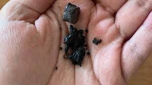 تریاک؛ اعتیادی با طعم سرطان و خاموشی حافظه تریاک؛ اعتیادی با طعم سرطان و خاموشی حافظه