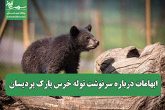 ابهامات درباره سرنوشت توله خرس پارک پردیسان