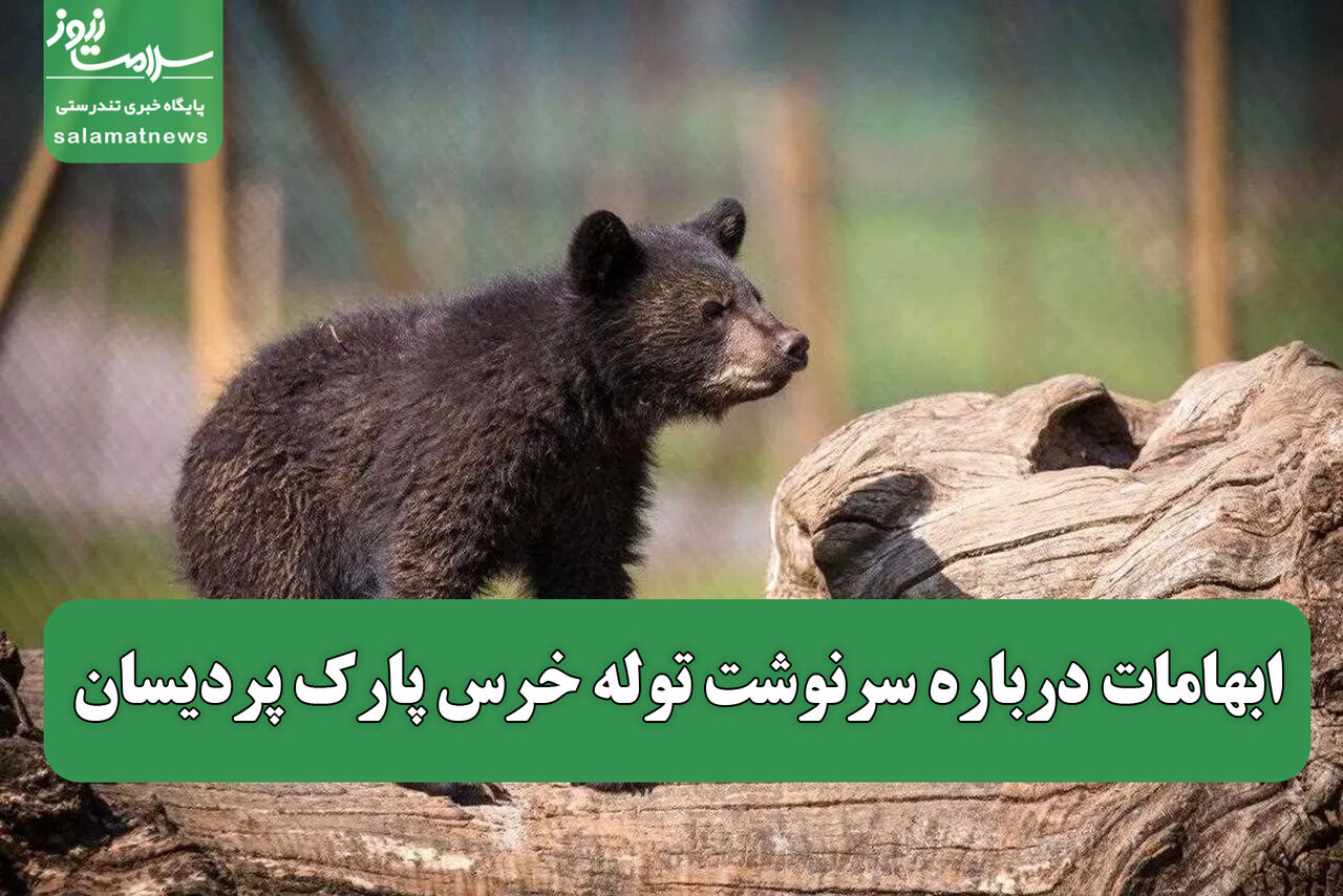 ابهامات درباره سرنوشت توله خرس پارک پردیسان ابهامات درباره سرنوشت توله خرس پارک پردیسان