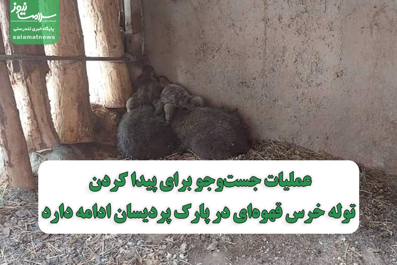 عملیات جست‌وجو برای پیدا کردن توله خرس قهوه‌ای در پارک پردیسان ادامه دارد