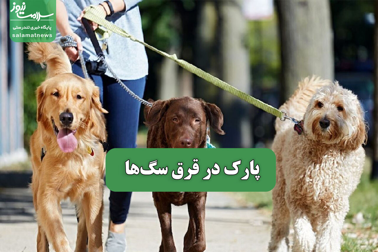 پارک در قرق سگ‌ها