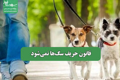 قانون حریف سگ‌ها نمی‌شود