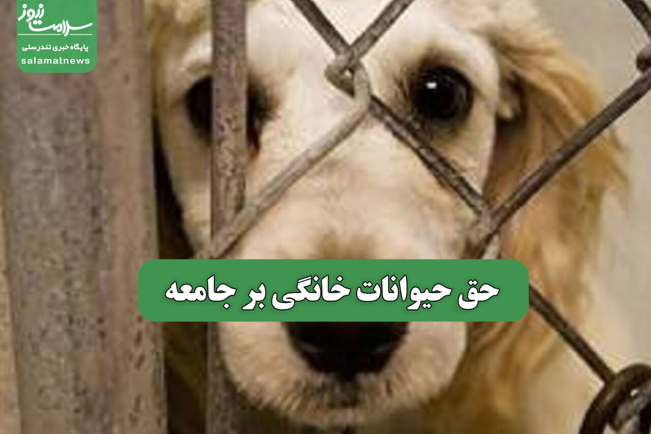 حق حیوانات خانگی بر جامعه 