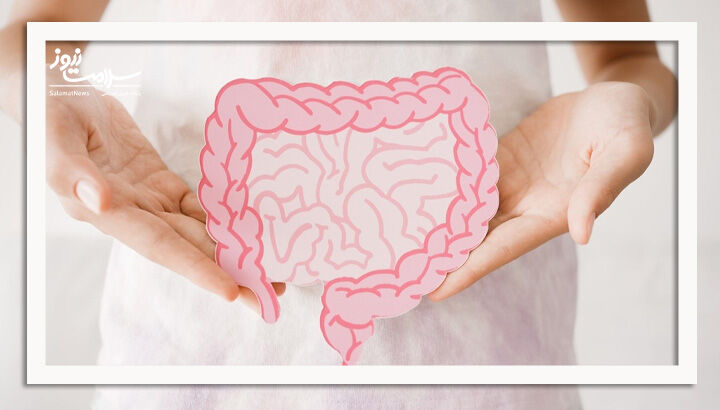 بهترین گیاه دارویی برای سلامت روده 