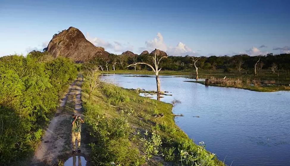 پارک ملی یالا سریلانکا؛ ماجراجویی در قلب حیات وحش