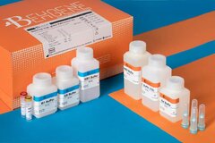 معرفی انواع کیت استخراج DNA