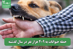 حمله حیوانات به 409 هزار نفر در سال گذشته