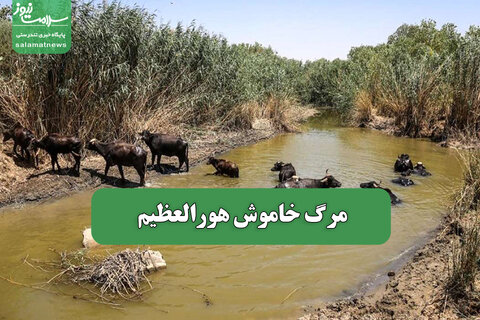 مرگ خاموش هورالعظیم