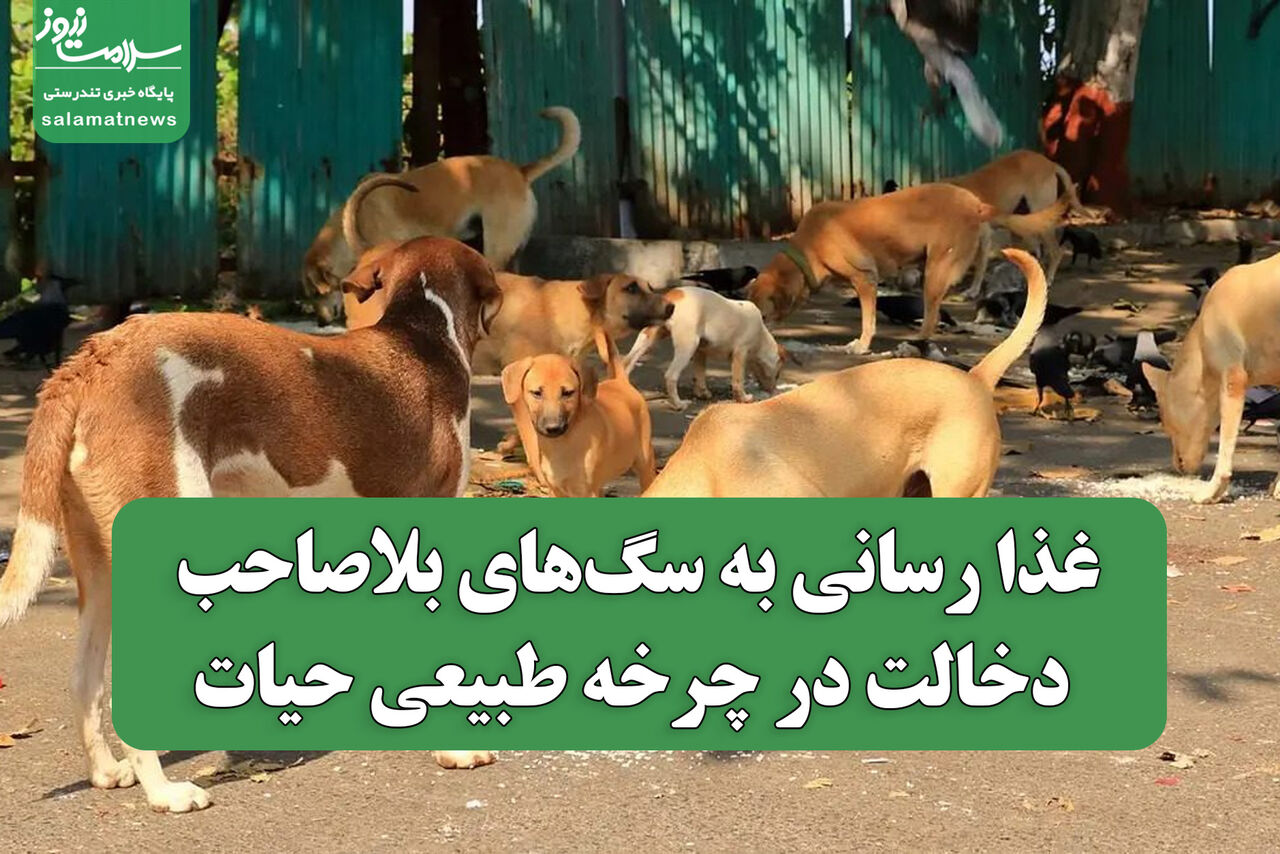 غذا رسانی به سگ‌های بلاصاحب، دخالت در چرخه طبیعی حیات