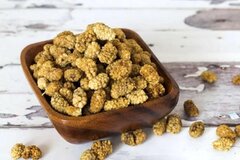 خواص توت خشک: گنجینه‌ای از ویتامین‌ها و مواد معدنی