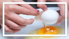 تخم مرغ فاسد چه علائمی دارد؟