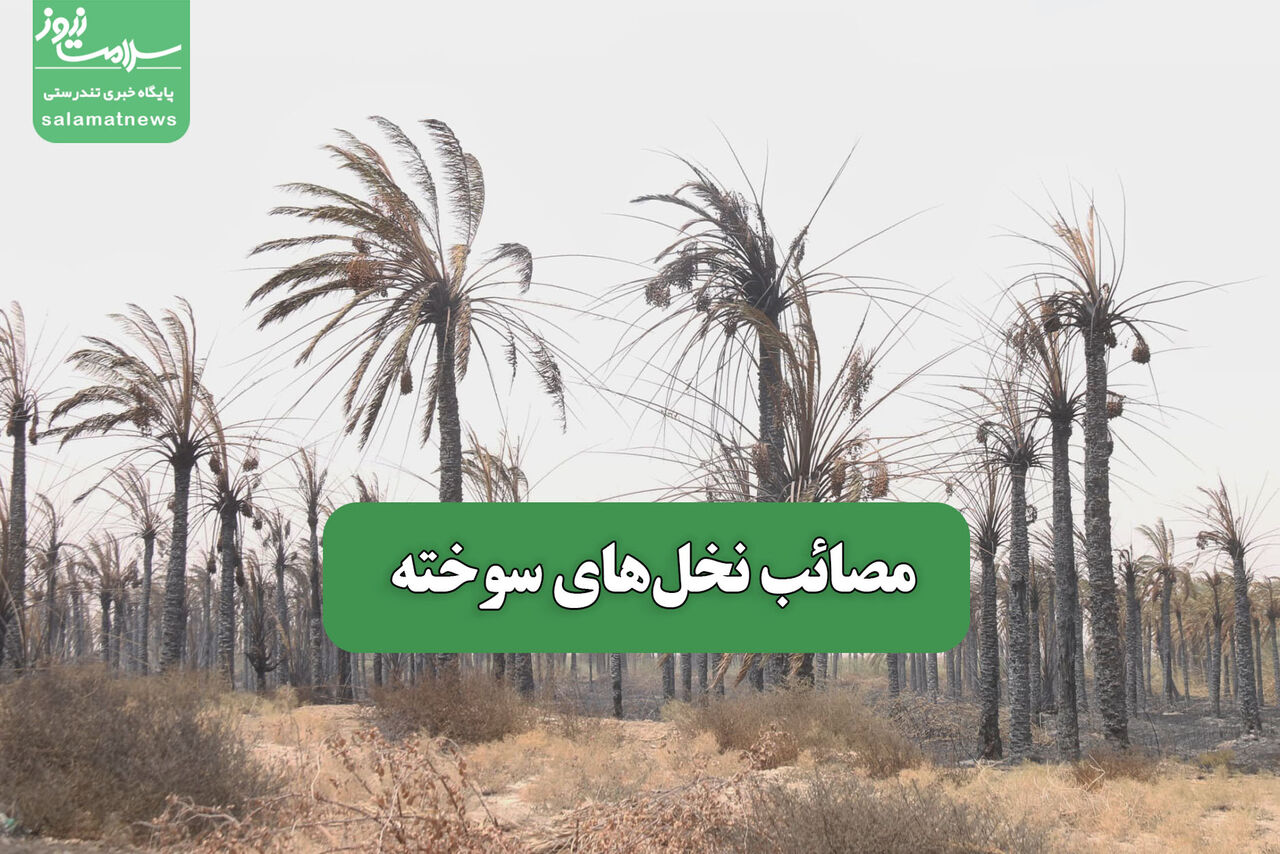 مصائب نخلهای سوخته  مصائب نخلهای سوخته