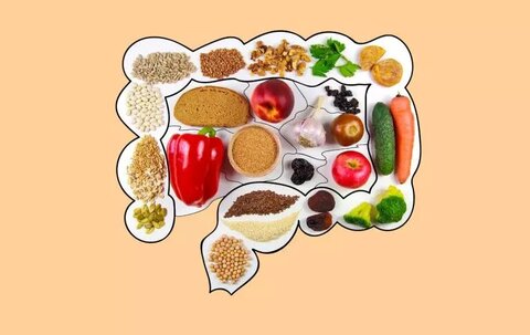 رژیم پرچرب؛ دشمن خاموش سیستم ایمنی روده