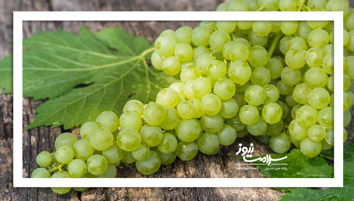 خواص انگور که از آن بی اطلاع هستید؟
