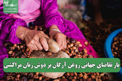 بار تقاضای جهانی روغن آرگان بر دوش زنان مراکشی