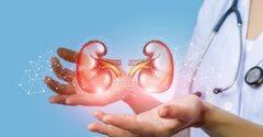 یک اورولوژیست خوب در مشهد چه ویژگی‌هایی دارد؟