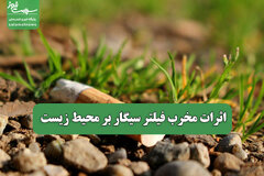 اثرات مخرب فیلتر سیگار بر محیط زیست