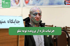جزئیات تازه از پرونده توبه تتلو