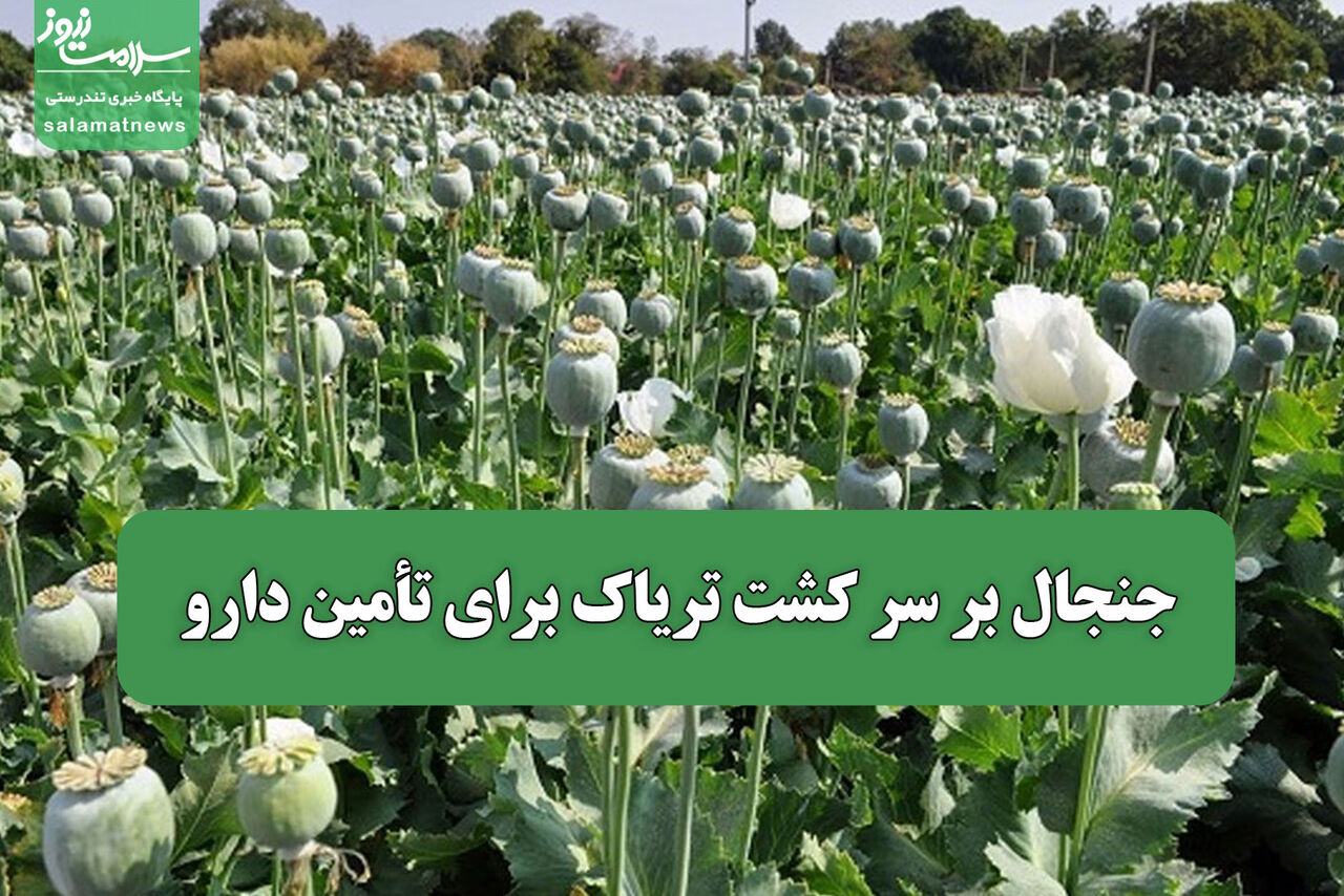 جنجال بر سر کشت تریاک برای تأمین دارو