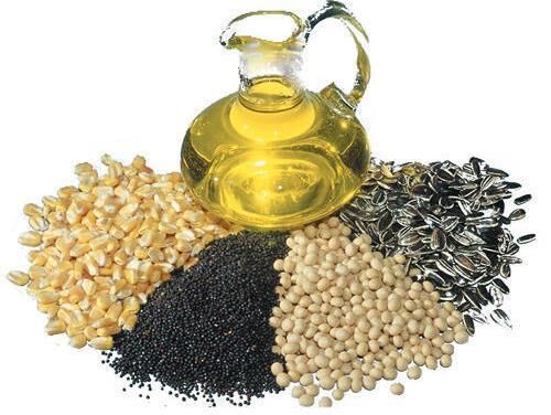 دانه‌های روغنی متهم بی‌گناه؛ نقش طلایی امگا-۶ در سلامت قلب و کنترل دیابت
