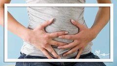 چربی احشایی، روند پیری قلب را تسریع می‌کند